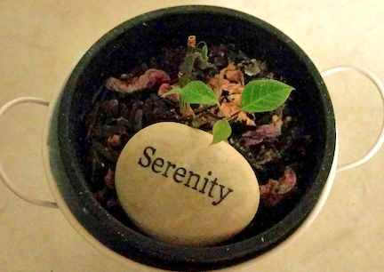 serenity stone and plant.jpg