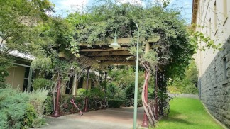 willsmere archway and shrubbery